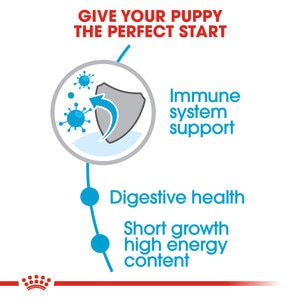 ROYAL CANIN® Medium Puppy 10kg
